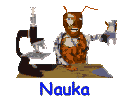 Nauka